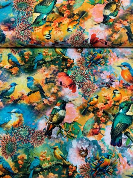 Tricot/Jersey, Vogels